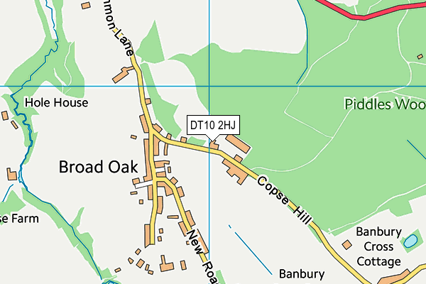 DT10 2HJ map - OS VectorMap District (Ordnance Survey) DT10 2HJ map - OS VectorMap District (Ordnance Survey)