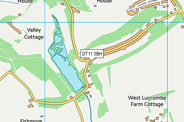 DT11 0BH map - OS VectorMap District (Ordnance Survey) DT11 0BH map - OS VectorMap District (Ordnance Survey)