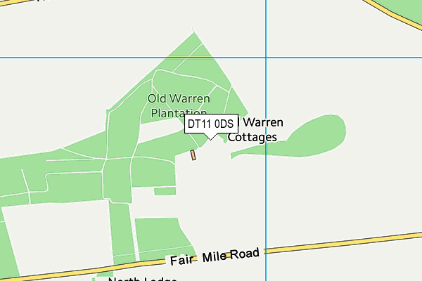 DT11 0DS map - OS VectorMap District (Ordnance Survey) DT11 0DS map - OS VectorMap District (Ordnance Survey)