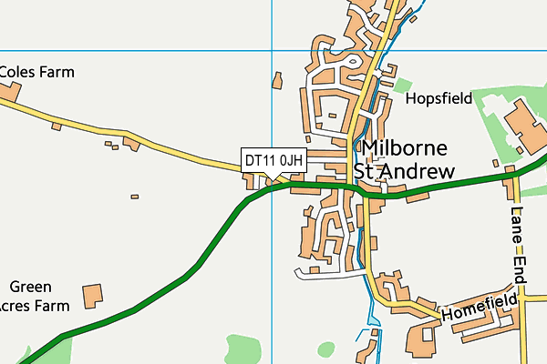 DT11 0JH map - OS VectorMap District (Ordnance Survey) DT11 0JH map - OS VectorMap District (Ordnance Survey)