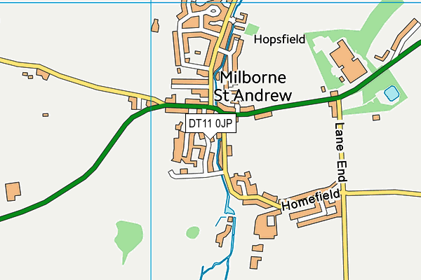 DT11 0JP map - OS VectorMap District (Ordnance Survey)
