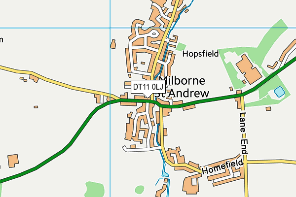 DT11 0LJ map - OS VectorMap District (Ordnance Survey) DT11 0LJ map - OS VectorMap District (Ordnance Survey)