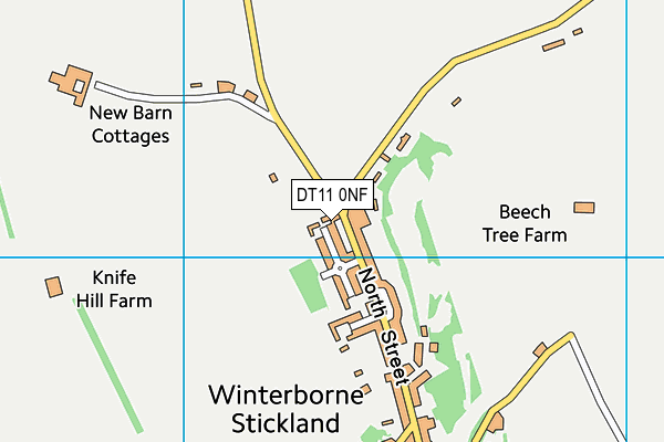 DT11 0NF map - OS VectorMap District (Ordnance Survey) DT11 0NF map - OS VectorMap District (Ordnance Survey)