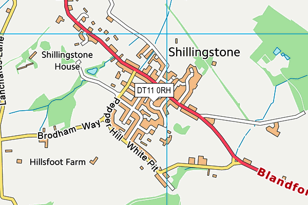 DT11 0RH map - OS VectorMap District (Ordnance Survey) DT11 0RH map - OS VectorMap District (Ordnance Survey)