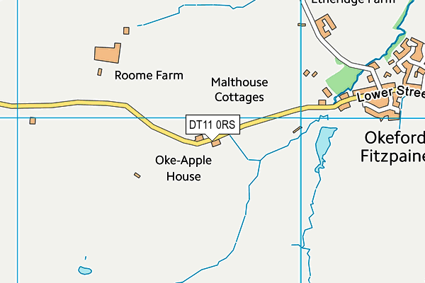 DT11 0RS map - OS VectorMap District (Ordnance Survey) DT11 0RS map - OS VectorMap District (Ordnance Survey)