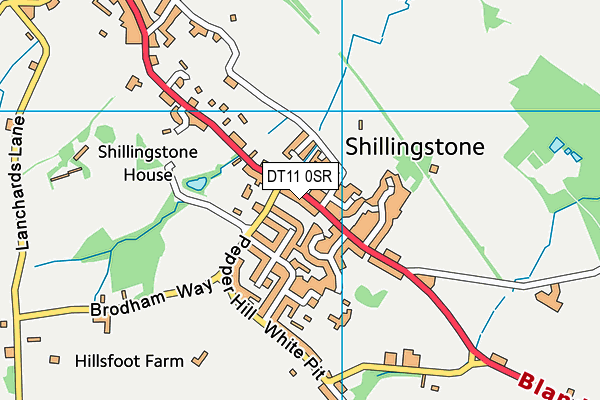 DT11 0SR map - OS VectorMap District (Ordnance Survey) DT11 0SR map - OS VectorMap District (Ordnance Survey)