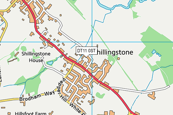 DT11 0ST map - OS VectorMap District (Ordnance Survey) DT11 0ST map - OS VectorMap District (Ordnance Survey)