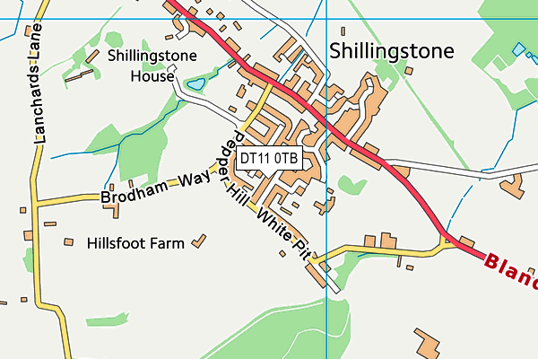 DT11 0TB map - OS VectorMap District (Ordnance Survey)