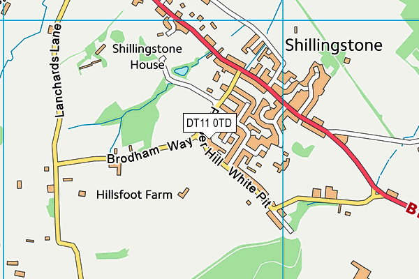 DT11 0TD map - OS VectorMap District (Ordnance Survey)