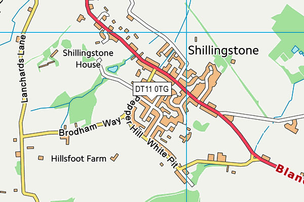 DT11 0TG map - OS VectorMap District (Ordnance Survey) DT11 0TG map - OS VectorMap District (Ordnance Survey)