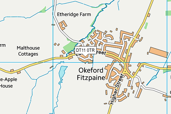 DT11 0TR map - OS VectorMap District (Ordnance Survey) DT11 0TR map - OS VectorMap District (Ordnance Survey)