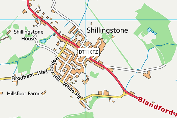 DT11 0TZ map - OS VectorMap District (Ordnance Survey) DT11 0TZ map - OS VectorMap District (Ordnance Survey)