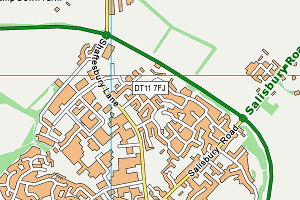 DT11 7FJ map - OS VectorMap District (Ordnance Survey) DT11 7FJ map - OS VectorMap District (Ordnance Survey)