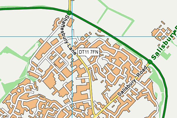 DT11 7FN map - OS VectorMap District (Ordnance Survey) DT11 7FN map - OS VectorMap District (Ordnance Survey)