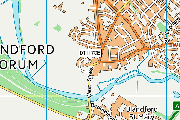 DT11 7GE map - OS VectorMap District (Ordnance Survey)