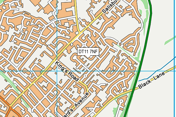 DT11 7NF map - OS VectorMap District (Ordnance Survey) DT11 7NF map - OS VectorMap District (Ordnance Survey)