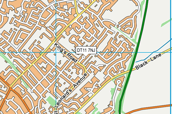 DT11 7NJ map - OS VectorMap District (Ordnance Survey) DT11 7NJ map - OS VectorMap District (Ordnance Survey)