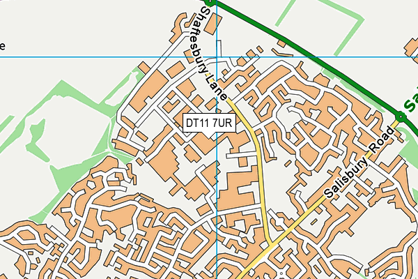 DT11 7UR map - OS VectorMap District (Ordnance Survey) DT11 7UR map - OS VectorMap District (Ordnance Survey)