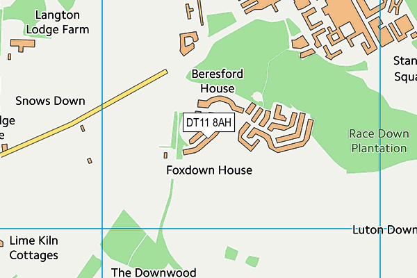 DT11 8AH map - OS VectorMap District (Ordnance Survey) DT11 8AH map - OS VectorMap District (Ordnance Survey)