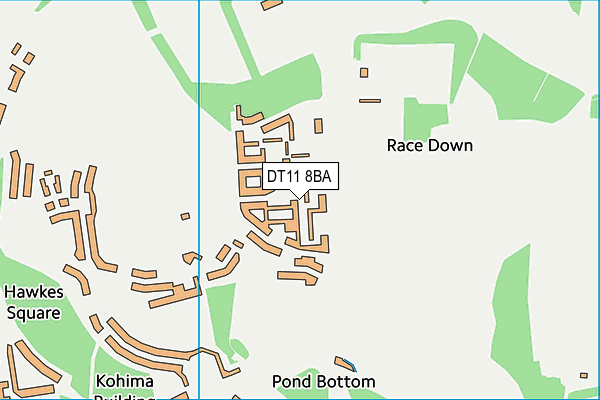 DT11 8BA map - OS VectorMap District (Ordnance Survey) DT11 8BA map - OS VectorMap District (Ordnance Survey)