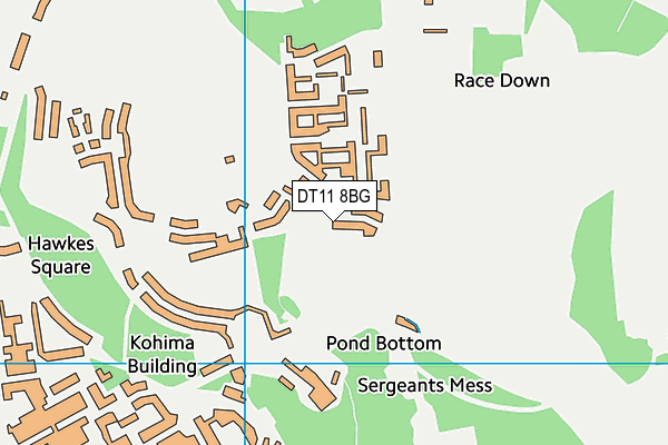 DT11 8BG map - OS VectorMap District (Ordnance Survey) DT11 8BG map - OS VectorMap District (Ordnance Survey)