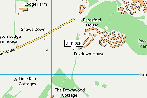 DT11 8BP map - OS VectorMap District (Ordnance Survey) DT11 8BP map - OS VectorMap District (Ordnance Survey)