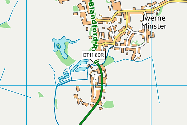 DT11 8DR map - OS VectorMap District (Ordnance Survey) DT11 8DR map - OS VectorMap District (Ordnance Survey)