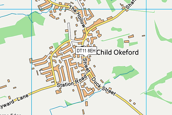 DT11 8EH map - OS VectorMap District (Ordnance Survey) DT11 8EH map - OS VectorMap District (Ordnance Survey)