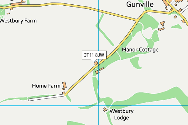 DT11 8JW map - OS VectorMap District (Ordnance Survey)