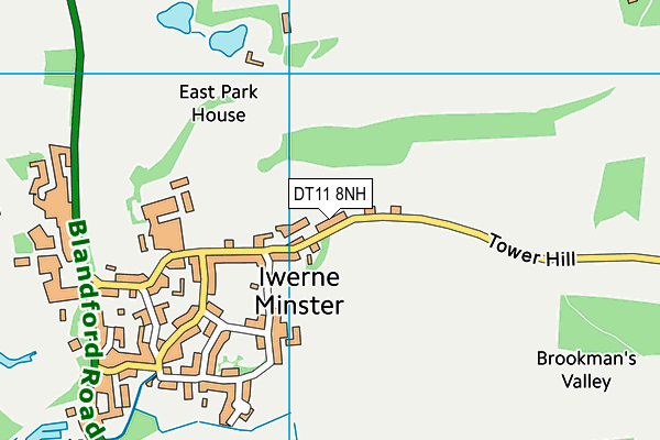 DT11 8NH map - OS VectorMap District (Ordnance Survey) DT11 8NH map - OS VectorMap District (Ordnance Survey)