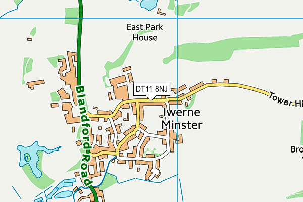 DT11 8NJ map - OS VectorMap District (Ordnance Survey) DT11 8NJ map - OS VectorMap District (Ordnance Survey)