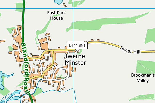 DT11 8NT map - OS VectorMap District (Ordnance Survey) DT11 8NT map - OS VectorMap District (Ordnance Survey)
