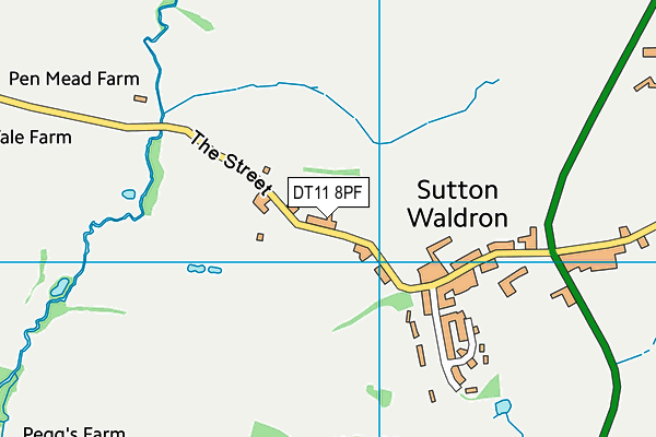 DT11 8PF map - OS VectorMap District (Ordnance Survey)