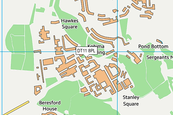 DT11 8PL map - OS VectorMap District (Ordnance Survey) DT11 8PL map - OS VectorMap District (Ordnance Survey)