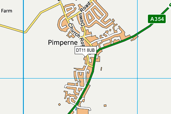 DT11 8UB map - OS VectorMap District (Ordnance Survey)