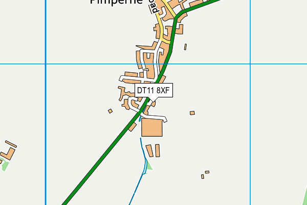 DT11 8XF map - OS VectorMap District (Ordnance Survey) DT11 8XF map - OS VectorMap District (Ordnance Survey)