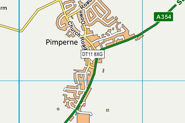 DT11 8XG map - OS VectorMap District (Ordnance Survey)