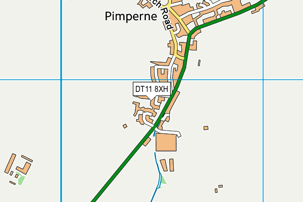 DT11 8XH map - OS VectorMap District (Ordnance Survey)
