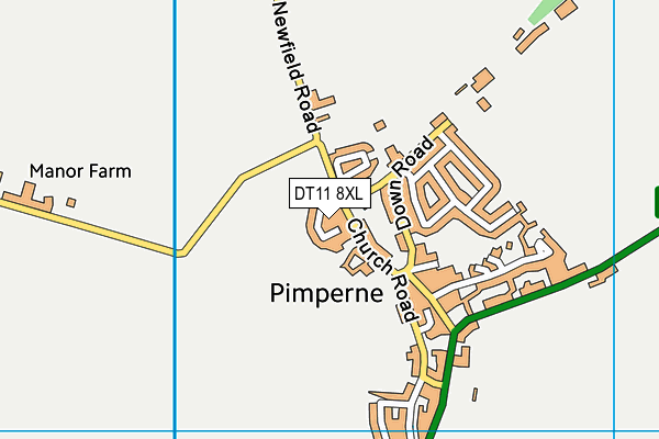 DT11 8XL map - OS VectorMap District (Ordnance Survey)