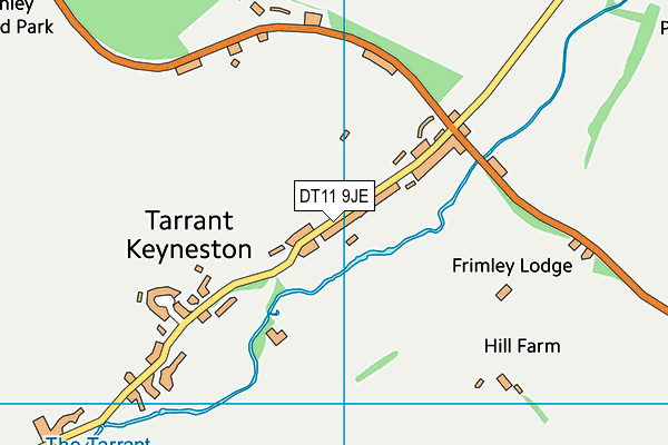 DT11 9JE map - OS VectorMap District (Ordnance Survey)