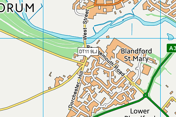 DT11 9LJ map - OS VectorMap District (Ordnance Survey) DT11 9LJ map - OS VectorMap District (Ordnance Survey)
