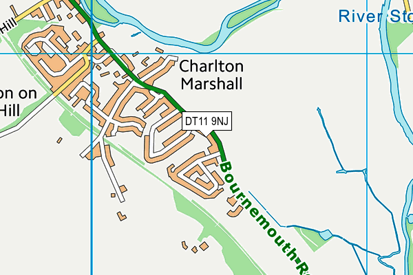 DT11 9NJ map - OS VectorMap District (Ordnance Survey) DT11 9NJ map - OS VectorMap District (Ordnance Survey)