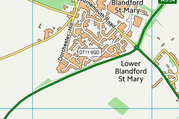 DT11 9QD map - OS VectorMap District (Ordnance Survey) DT11 9QD map - OS VectorMap District (Ordnance Survey)