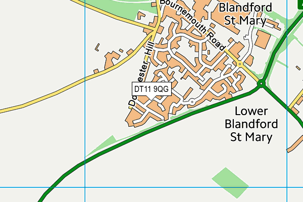 DT11 9QG map - OS VectorMap District (Ordnance Survey) DT11 9QG map - OS VectorMap District (Ordnance Survey)