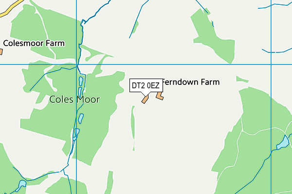 DT2 0EZ map - OS VectorMap District (Ordnance Survey) DT2 0EZ map - OS VectorMap District (Ordnance Survey)