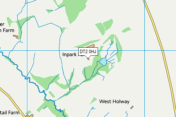 DT2 0HJ map - OS VectorMap District (Ordnance Survey) DT2 0HJ map - OS VectorMap District (Ordnance Survey)