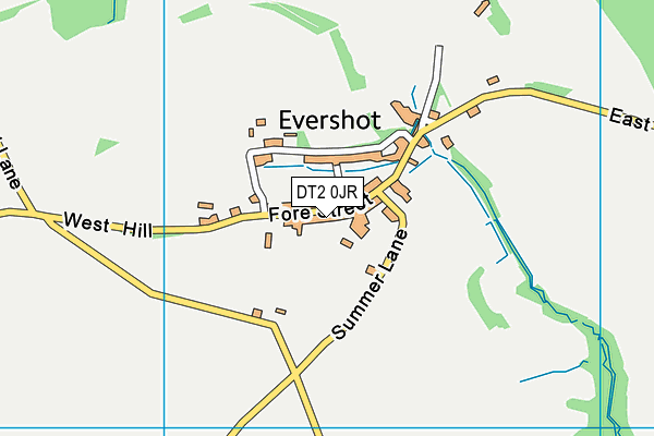 DT2 0JR map - OS VectorMap District (Ordnance Survey) DT2 0JR map - OS VectorMap District (Ordnance Survey)