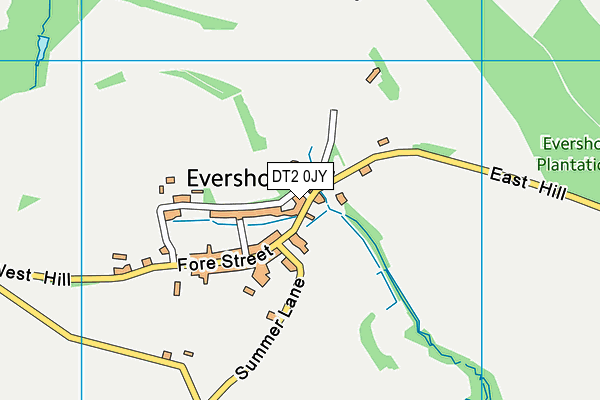 DT2 0JY map - OS VectorMap District (Ordnance Survey) DT2 0JY map - OS VectorMap District (Ordnance Survey)