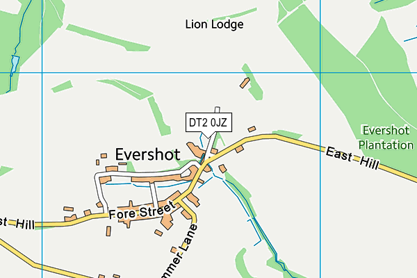 DT2 0JZ map - OS VectorMap District (Ordnance Survey)