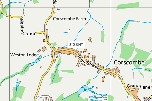 DT2 0NY map - OS VectorMap District (Ordnance Survey) DT2 0NY map - OS VectorMap District (Ordnance Survey)